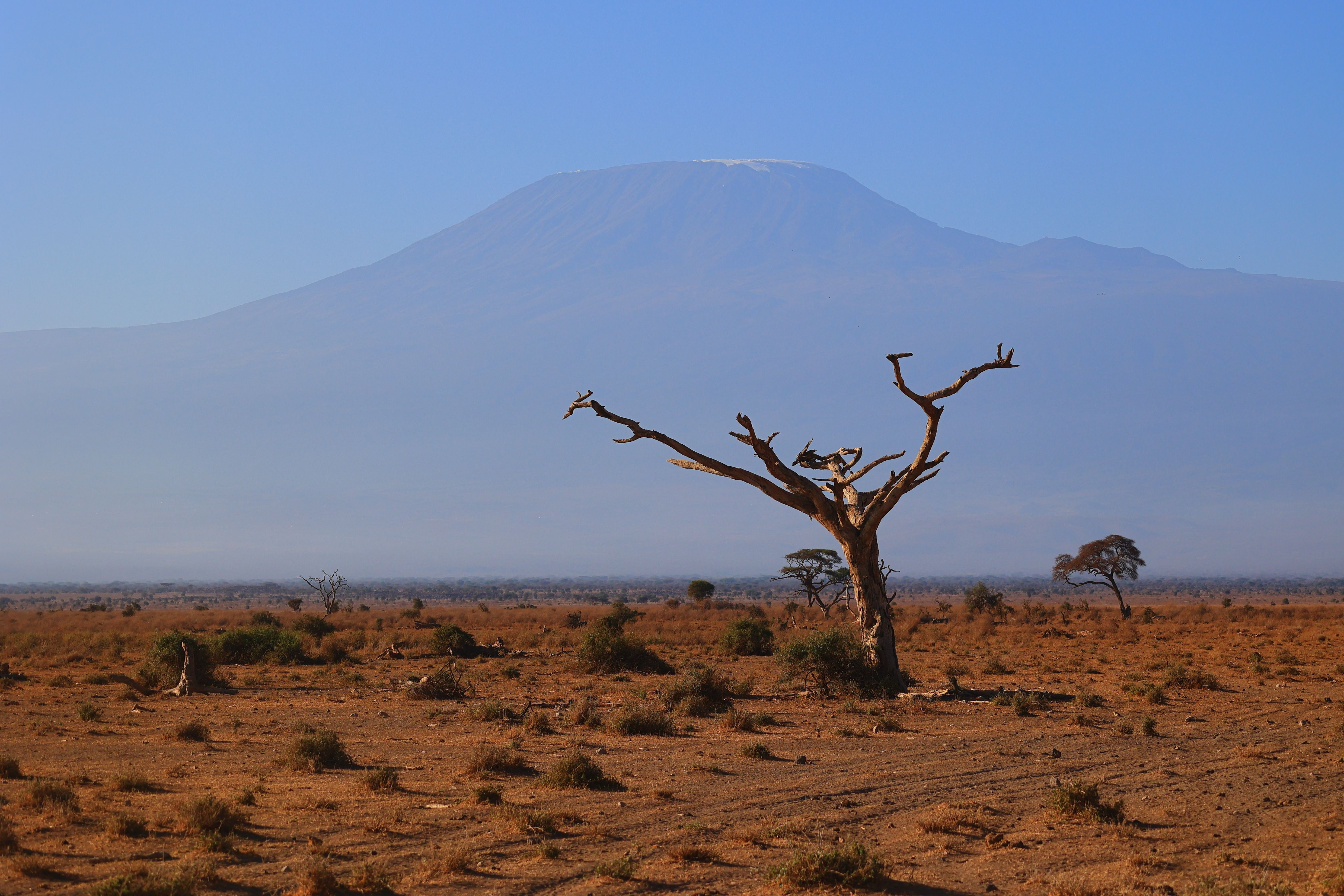 MOUNT KILIMANJARO